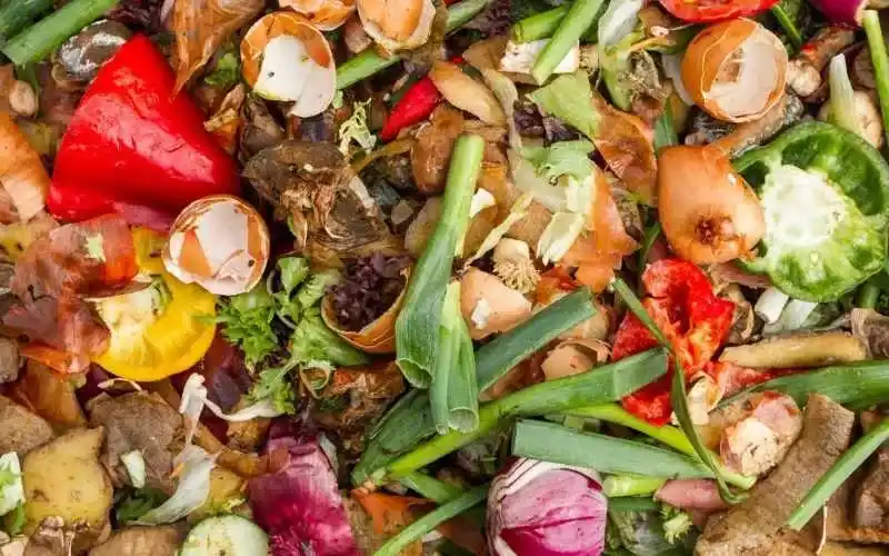 Kitchen waste