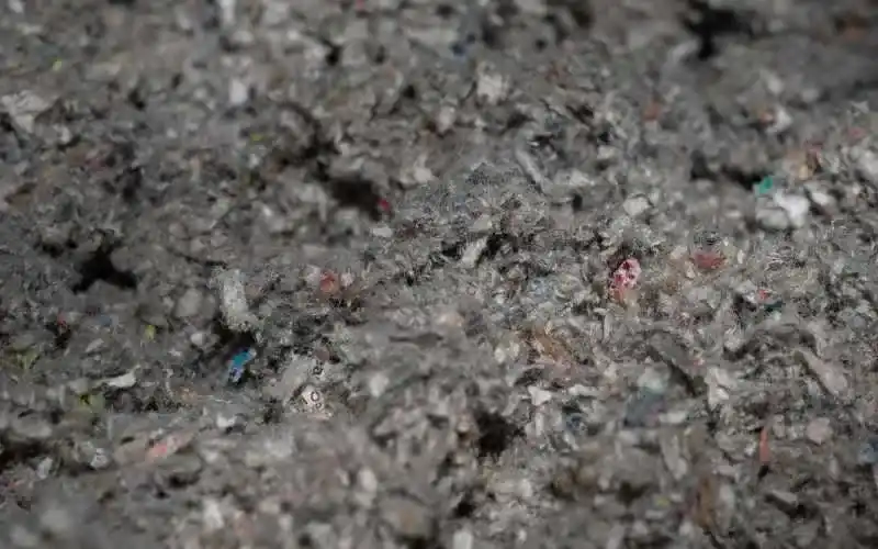 Pulp Waste