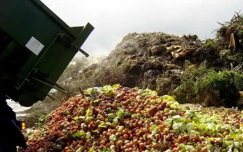 Agri Waste