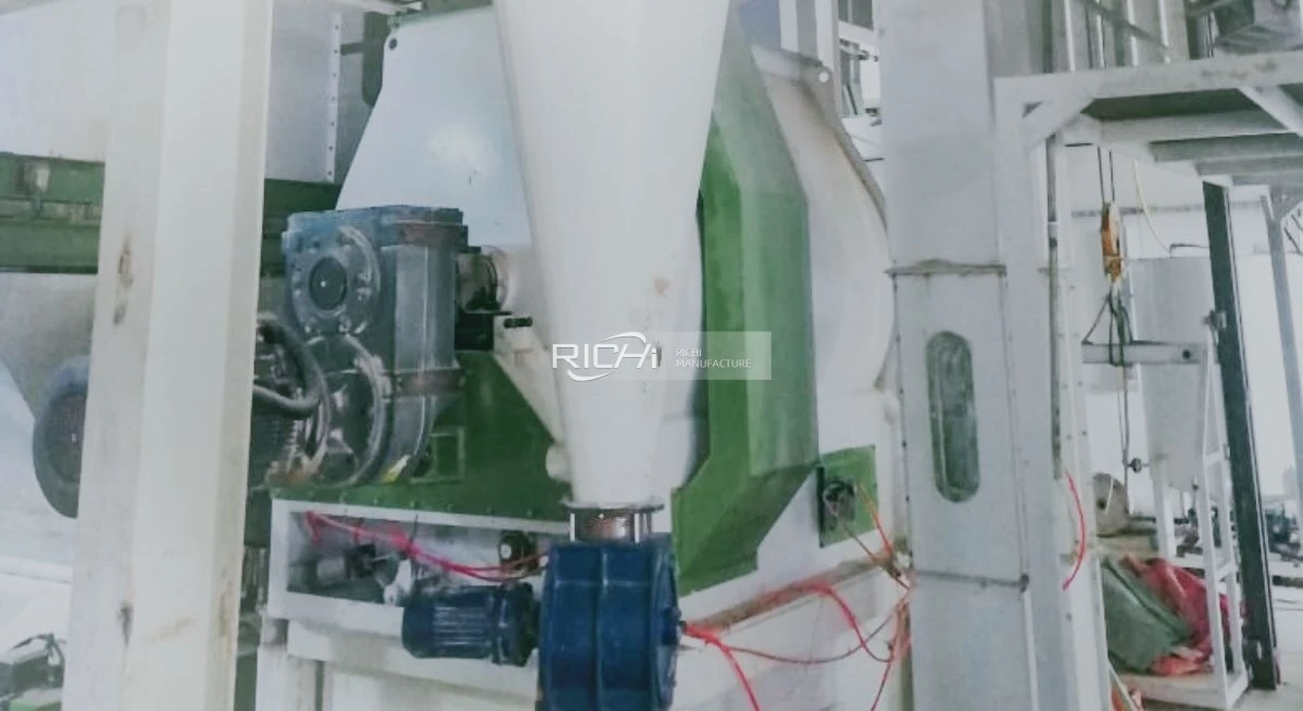 Animal Feed Factory Paddle Mixer Video in Oman