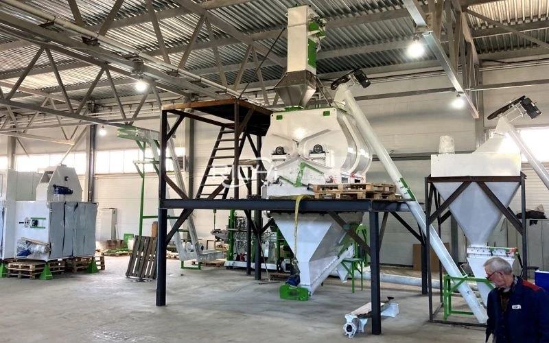 Paddle Mixer Machine for Floating Fish Feed Production in Thailand