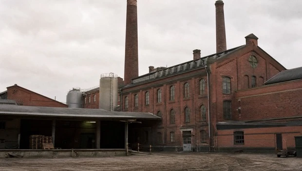 Biomass power plants