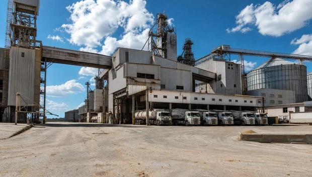 Integrated Feed Processing Plant