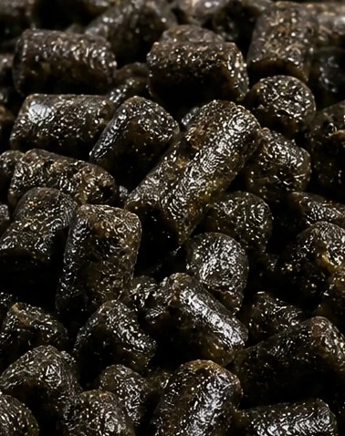 Shrimp Feed Crumbling System