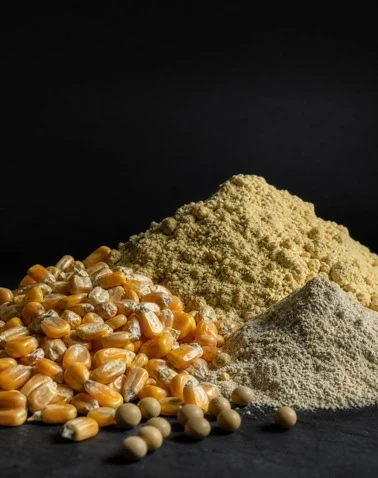 Feed & Pet Food Mixing System