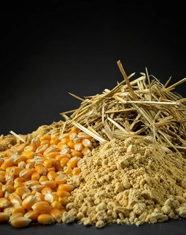 Ruminant Feed Ingredients