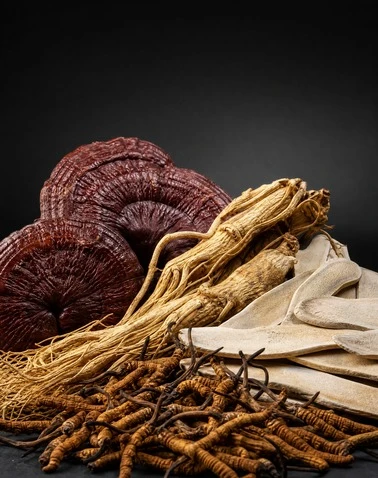 TCM & Veterinary Herbal Materials