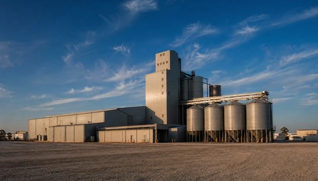 Ruminant Feed Mills