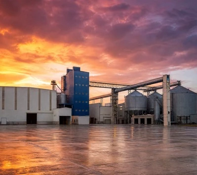 Large-Scale Feed Manufacturing Plants