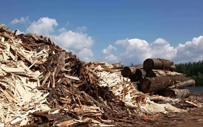 wood