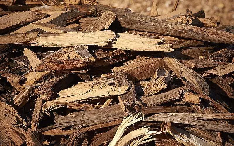 wood