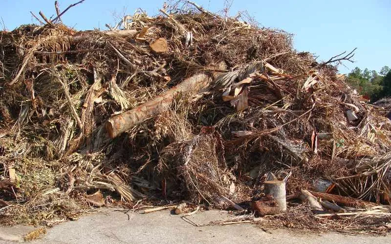 wood