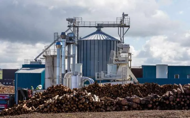 Wood Log Pellet Production Line
