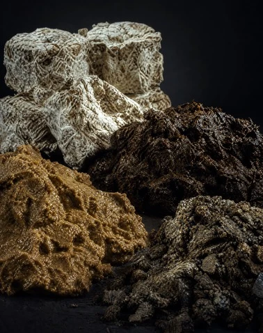 High-Moisture & Sticky Material Drying System