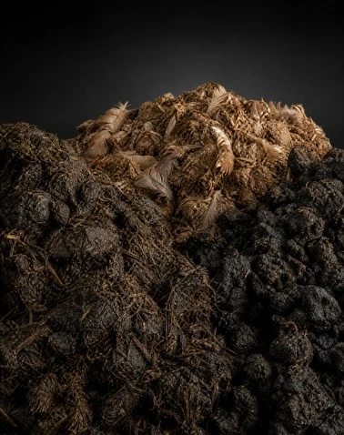 Organic Fertilizer Drying System