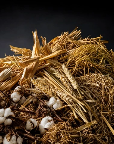 Crop Straw Drying System