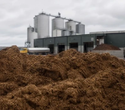 distillery spent grain byproduct