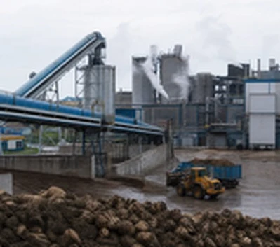sugar processing plant beet pulp