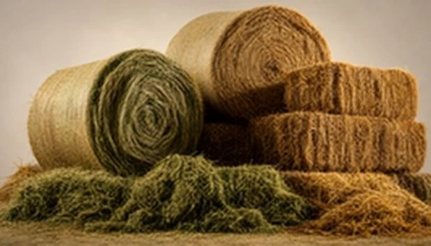 forage hay bales alfalfa