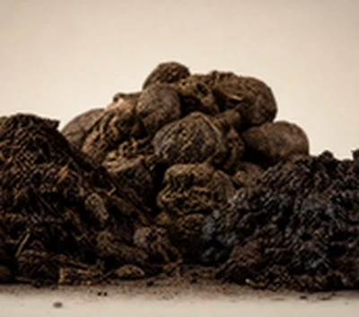 organic manure poultry livestock sludge
