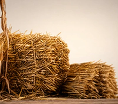 straw corn wheat