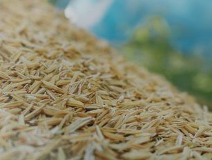rice husk fertilizer production line