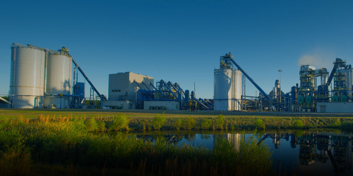 wood pellet mill plant