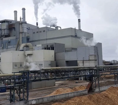 Paper and Pulp Mills