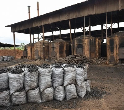 Charcoal and Carbon Plants