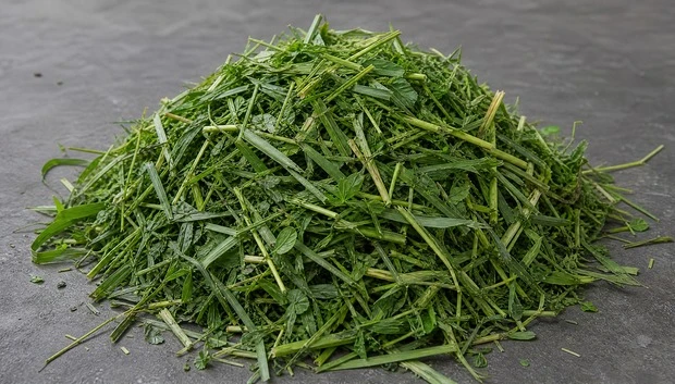 Fresh Grass Forage Materials