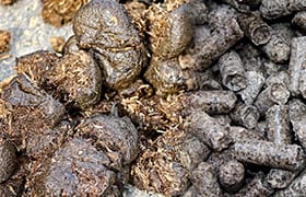 Horse Manure Pellet Plant