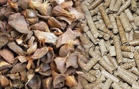 Palm Kernel Pellet Plant