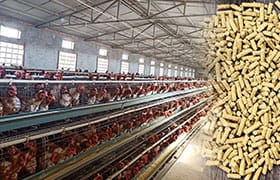 Poultry Feed Mill